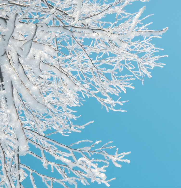 -10℃在家也不用穿棉拖鞋，是真的吗？