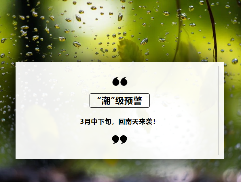 微信图片_20250320174918
